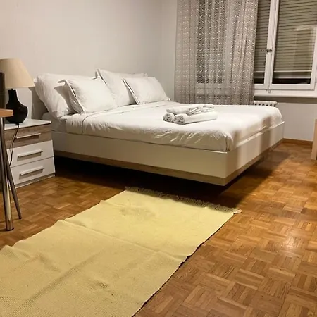 Between The Train Station And Downtown * 로잔