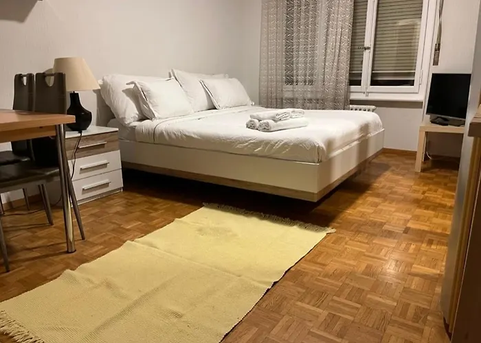 Between The Train Station And Downtown * Lausanne